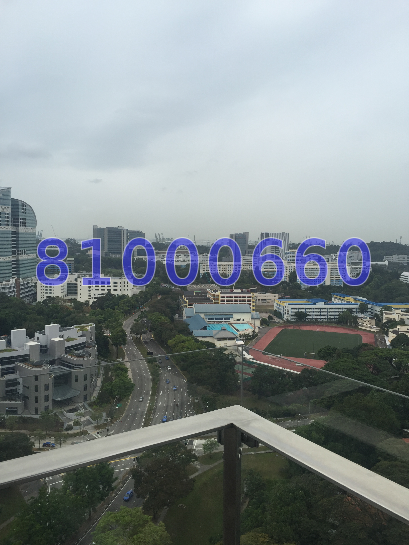 The Rochester Residences (D5), Condominium #38631982
